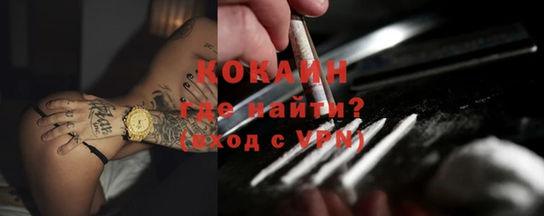 сатива Рославль