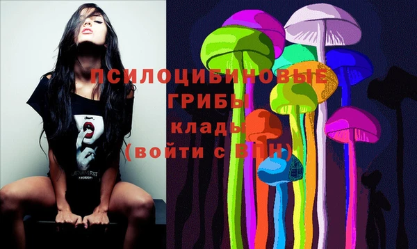 тгк Белокуриха