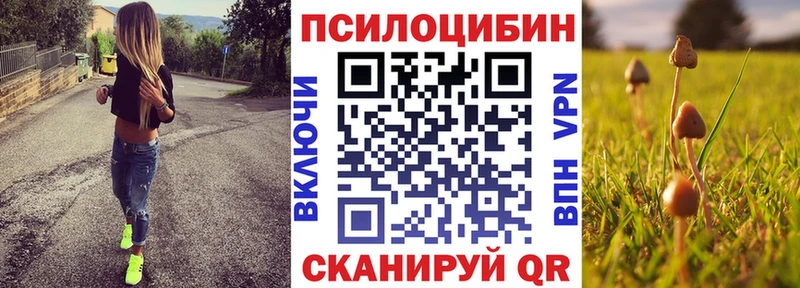 Галлюциногенные грибы MAGIC MUSHROOMS Пестово